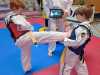 IMG-20241209-WA0022