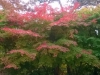 WP_20161022_025.jpg