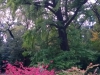WP_20161025_014.jpg